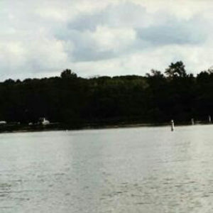 Meet your Posher, Elise